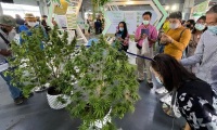 2026年泰国曼谷大麻展-亚洲国际大麻论坛AIHEF(Asia International Hemp Expo & Forum)展示范畴