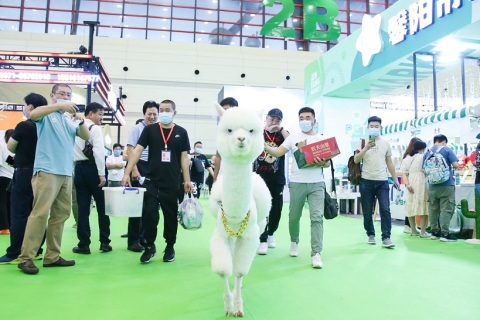 郑州中原国际宠物供应链博览会展会现场图片