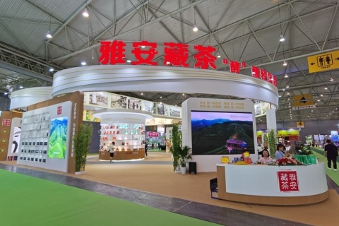 中国青岛国际茶产业博览会-青岛茶博会展会现场图片