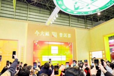 2026年福建福州国际茶产业展-福州茶博会参展前必须知晓的注意事项