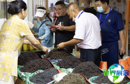 2026年临沂茶叶展览会（临沂茶博会）观展指南（日程地点+票价信息）