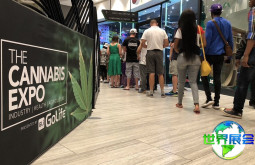 2026年南非大麻博览会(The Cannabis Expo)展位费用与布局图