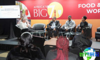 2026年南非食品加工展览会(Africa's Big 7)参展企业名单