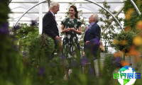 英国切尔西花卉展(RHS Chelsea Flower Show)2026年观展攻略：时间与场地/票价详情