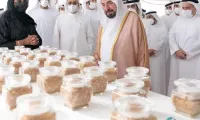 阿联酋科学家培育出蛋白质含量达19%的"破纪录"小麦品种
