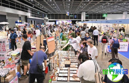 香港家电展(HKTDC Home Delights Expo)2026年将展出哪些产品？
