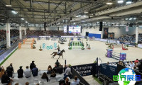 意大利马术展（FIERACAVALLI）2026年观展攻略：时间地点及门票价格